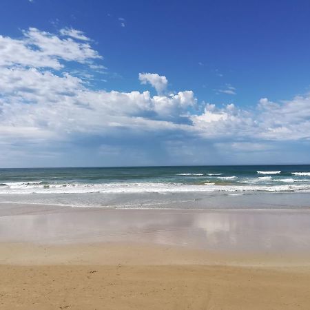 Birdsong Cottage St Francis Bay Bagian luar foto
